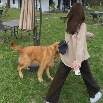 索命色计